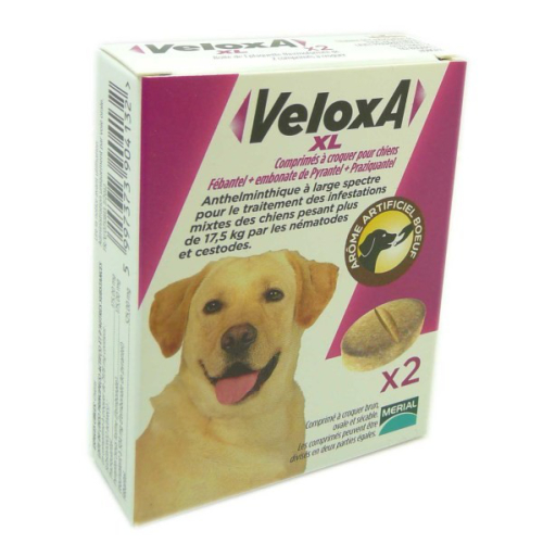 Veloxa Xl chien +17,5kg 2 comprimés