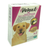 Veloxa Xl chien +17,5kg 2 comprimés